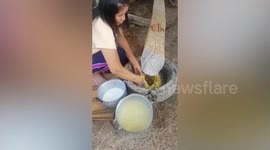 Thai villagers use traditional wooden mortar to make rice crackers