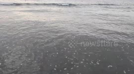 Wave of Saint Martin