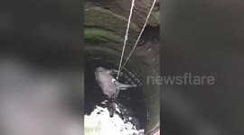 Locals rescue calf stranded inside water well in central India