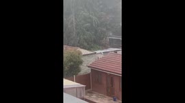 Police conduct counter-terrorism raid in east London