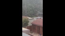 Counter Terrorism Police Raid in East London