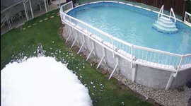 Dogs playing in a massive pile of bubbles to escape the heat.