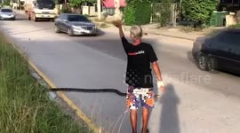 Huge python holds up traffic to cross busy road in Thailand