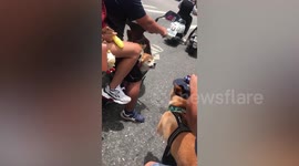 Rival puppies riding motorcycles in road rage at traffic lights
