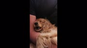 temp