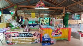 Thousands of flies invade restaurant in northern Thailand