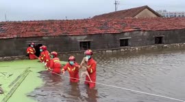 Chinese firemen stand in floodwater to rescue sheep trapped in their pen
