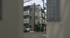 Huge cactus growing on side of house amazes residents in Tokyo, Japan