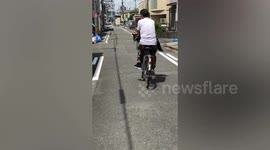 Pooch Rides In Bicycle Basket In Japan