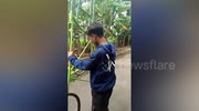 temp
