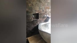 Backpacker finds snake in bathroom at hotel in Bali