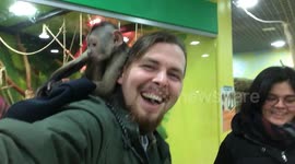 Monkey steals my hat and gets under my shirt while taking a selfie