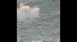 Rabbit Hunting tikka t3 rifle