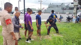 Male dog waits anxiously while female mate is rescued from sewer in Thailand