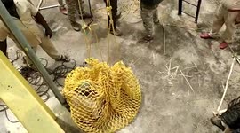 Update: Rescue and Release_Daredevil forest official enters 100-feet-deep dry well inside metal cage to search and rescue leopard in southern India