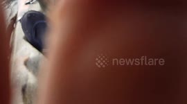 9 yr old trinity did so well kayaking though Eddies  Plymouth