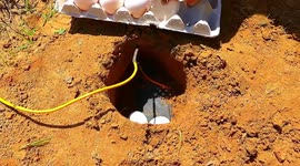 This is what happens if you bury firecrackers underground with eggs