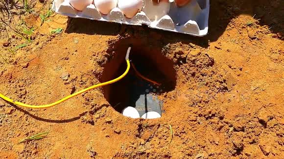 This is what happens if you bury firecrackers underground with eggs