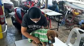 Pet dog rescued after getting nose stuck in can of glue in Thailand