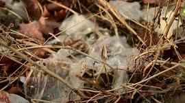 Plastico basura en las calles del centro de Madrid