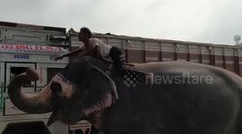 Elephant collects cash from truck drivers on highway in northern India