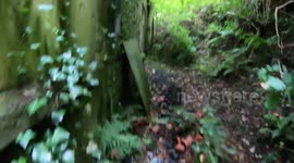 Inside time-capsule cottage that's been left untouched for decades