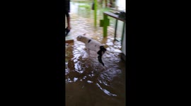 Some flood tropical storm Isaias