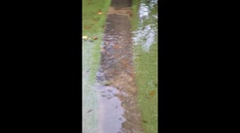 Some flooded tropical storm Isaías un PR