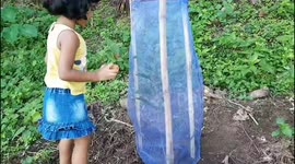 Watch moment a curious 3-year-old girl frees trapped bird in eastern India