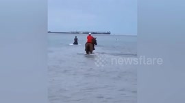 Three men on horseback ride into sea to save drowning boy in southern China