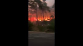 Dramatic footage shows French forest engulfed by flames