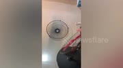 temp