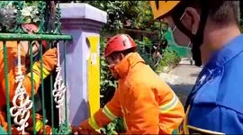 Evacuation of dogs has been pinned to the fence