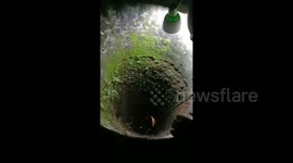 Evacuate one cat in a seven foot [7 m] deep well