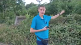 Christmas Tree's Growing