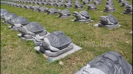 This is not a normal dragon's head with tortoise's body sculpture but prosperity live burial