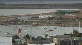 Dolphins and killer whales escort Argentine naval patrols amid quarantine