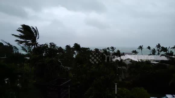 Tropical Storm Isaias’ strong winds pound Nassau, Bahamas