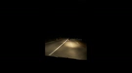 Baby fox caught on camera!