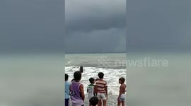 Five beached pilot whales rescued after being blown off course by storm in the Philippines