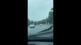 driving on grand central NY on east bound ,face the storm “ Isaias” tree fall on car