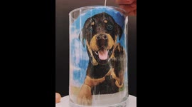 Sand artist creates cute portrait of puppy in cool timelapse