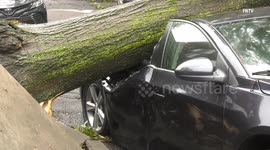 Tropical Storm Isaias