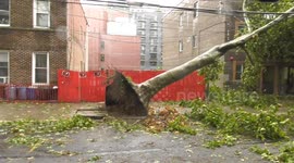 Storm Isaias in NYC