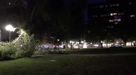 The aftermath on the New Haven Green. #ctweather #Isaias https://t.co/VF5fFksrfE