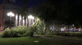 Tropical Storm Isaias takes trees as casualties in Connecticut