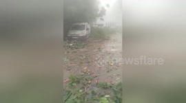 Watch the chaos and confusion in the immediate aftermath of the Beirut blast