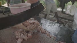 Baby Shark Finning Poachers in South East Asian Actively Prepare Shark Meat