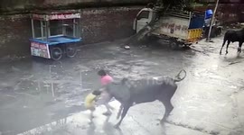 Stray bull goes on rampage, viciously attacks two boys walking down street in northern India
