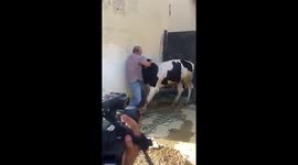 Palestinian slaughterer